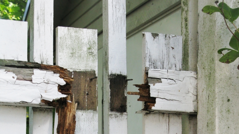 Wood rot damage on painted exterior wood trim
